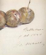 Edouard Manet Lettre avec trois prunes (mk40) painting